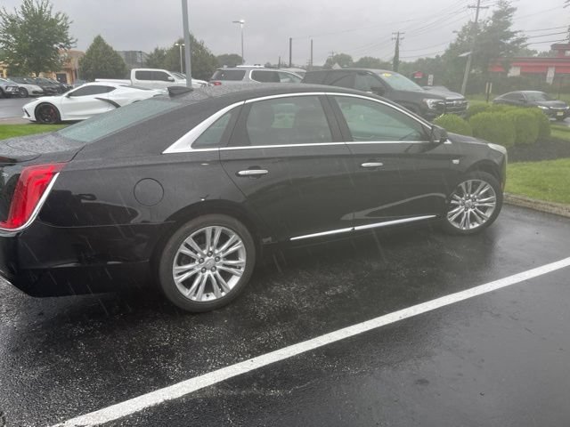 Used 2019 BLACK RAVEN Cadillac Luxury image 3