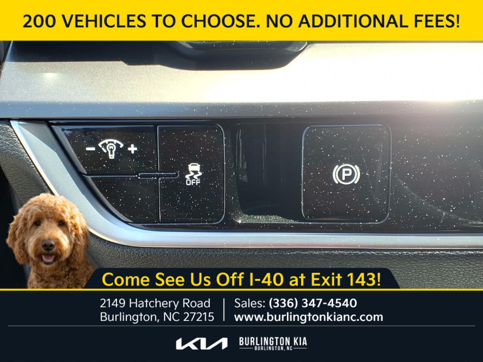 Certified Used 2024 Ebony Black Kia EX image 16