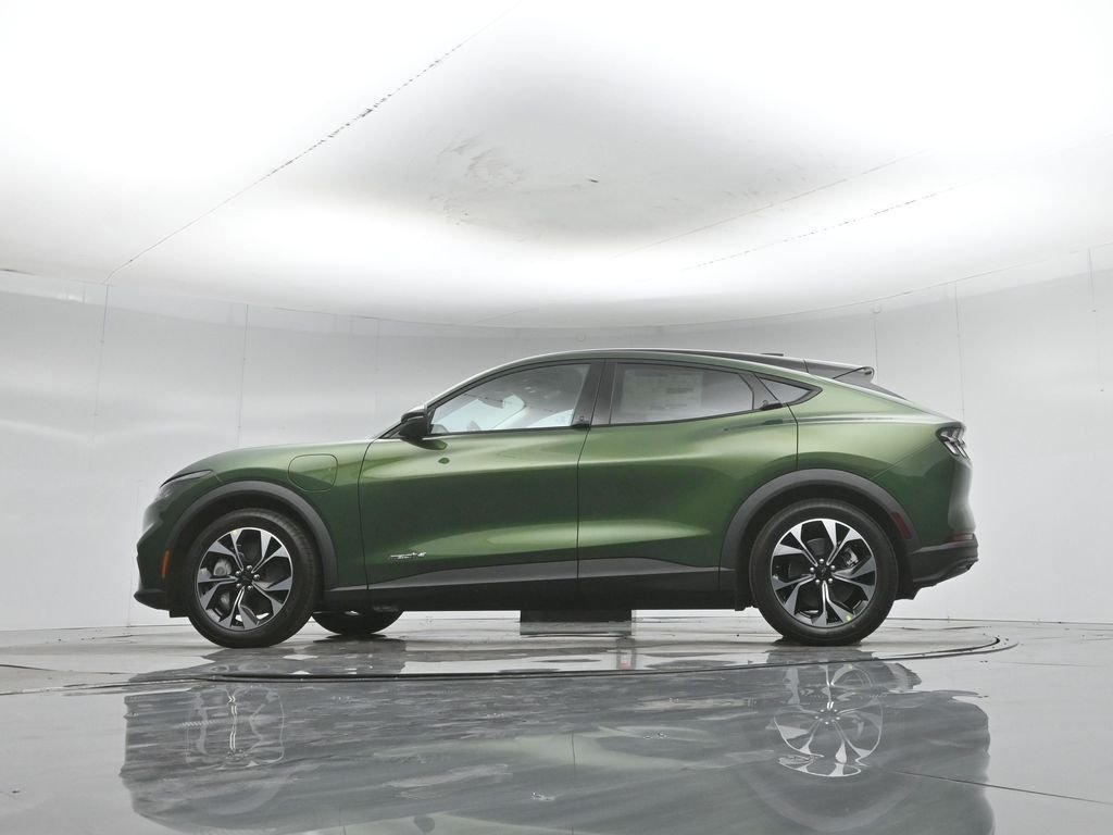 New 2026 Eruption Green Metallic Ford Select image 50