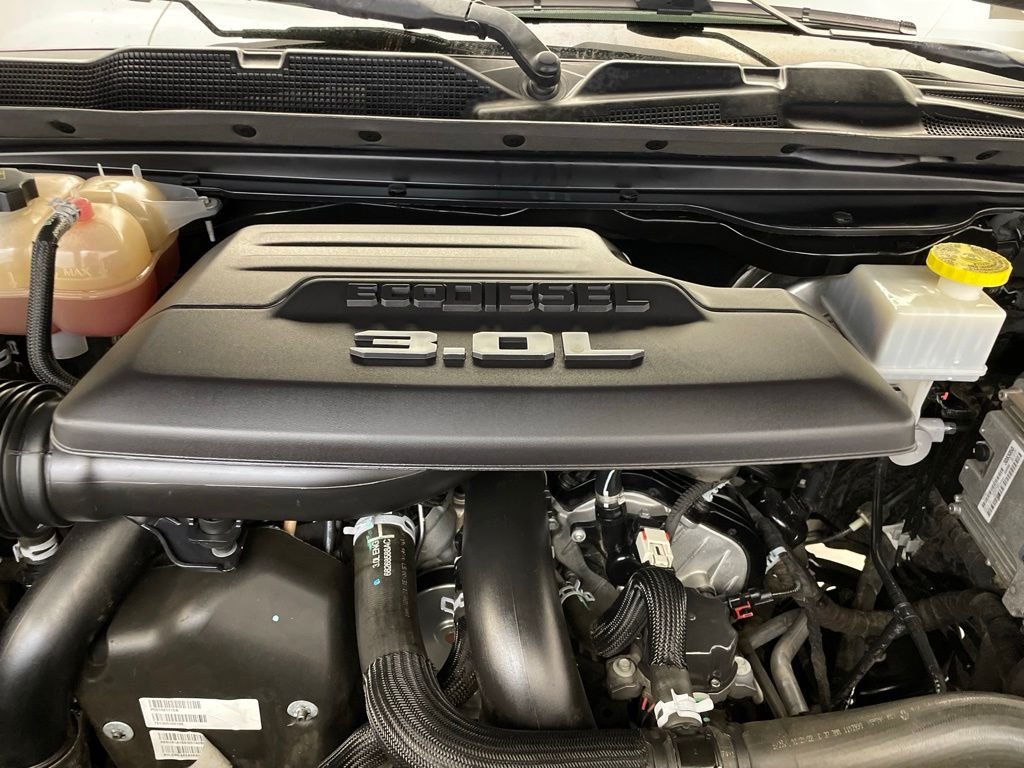 Used 2022 Black Ram Rebel image 30