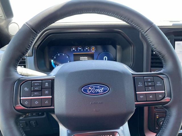 2025 Ford F-150 Platinum - Photo 21