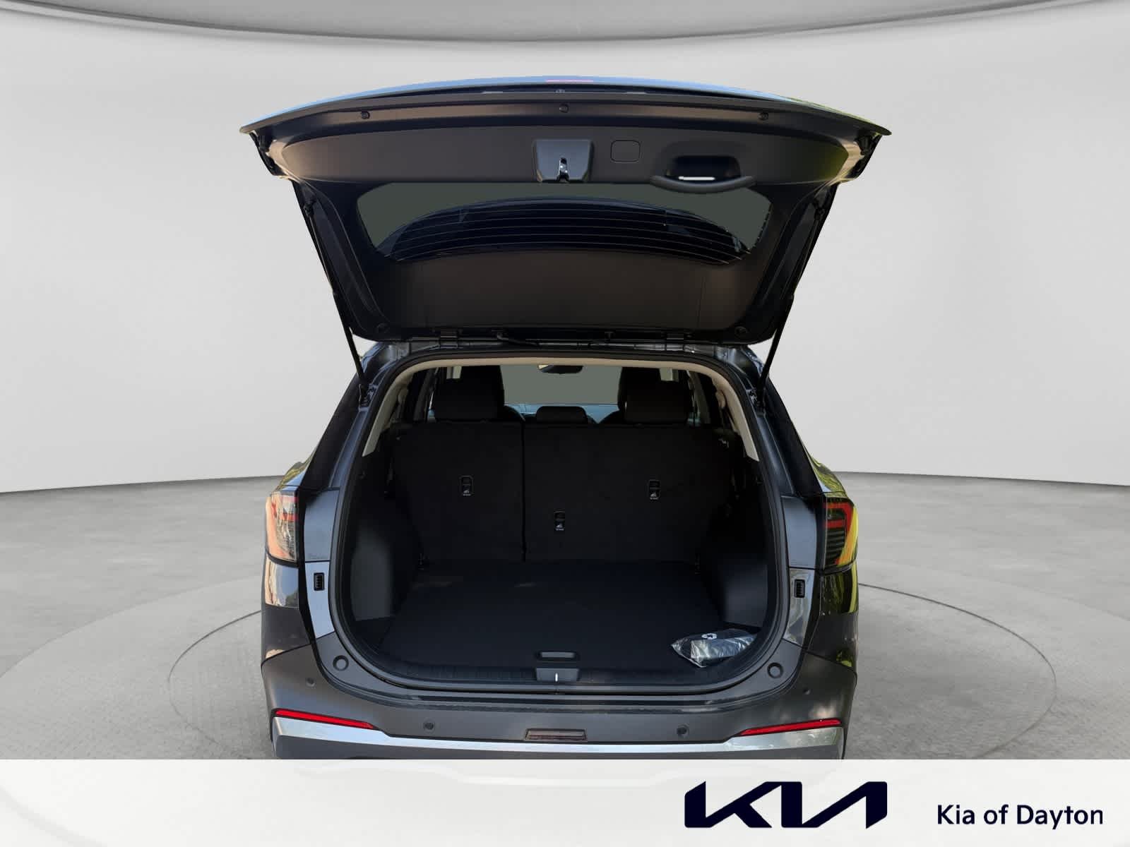 New 2026 Panthera Metal Gray Kia LX image 23