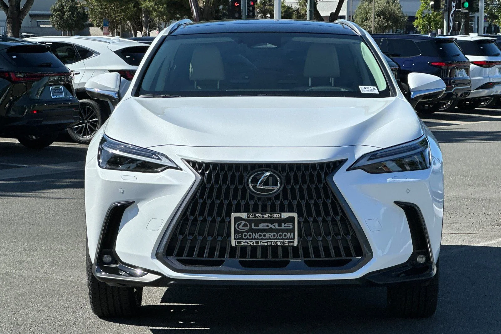 2026 Lexus NX 350 Luxury - Photo 6