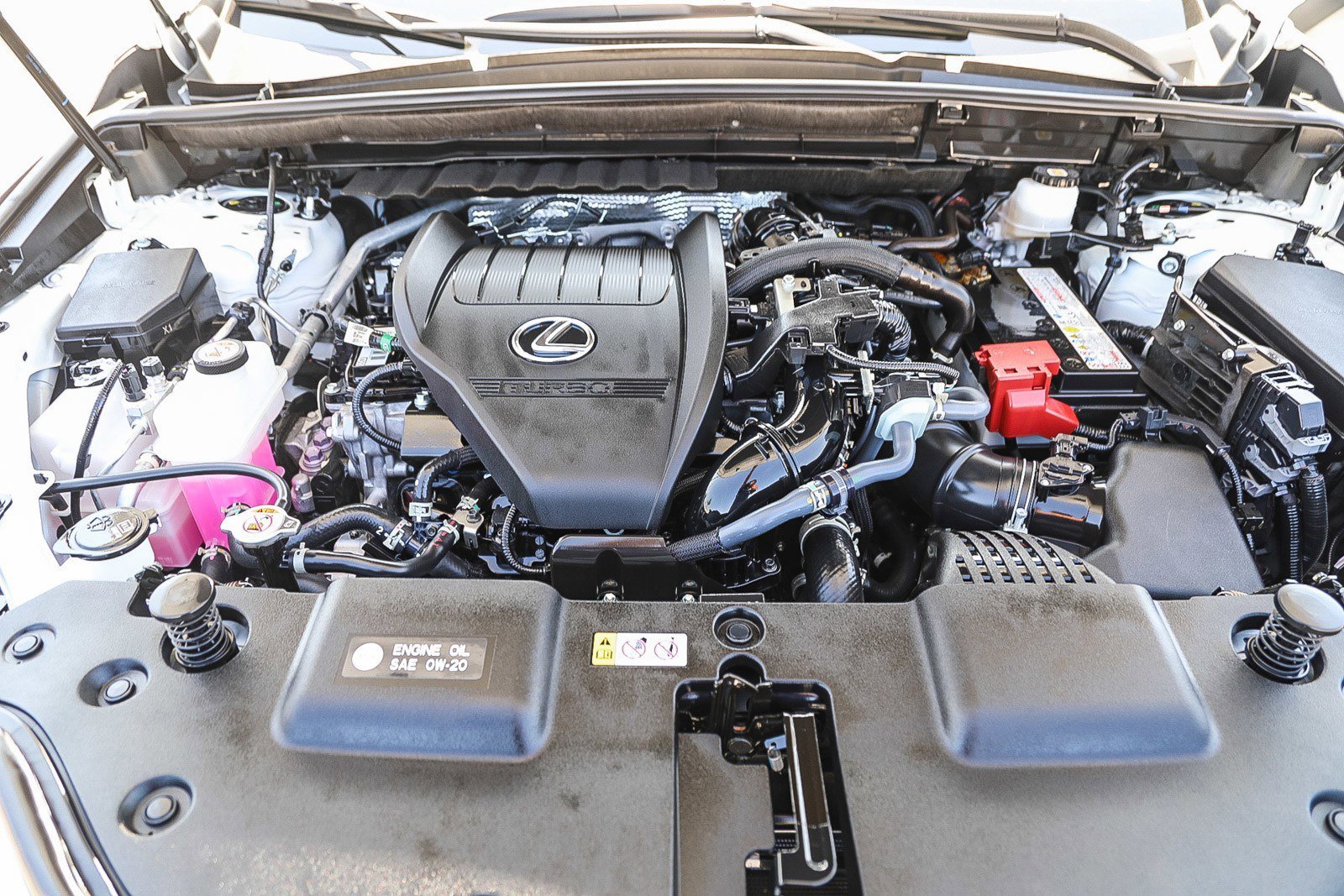 2025 Lexus NX 350 - Photo 25