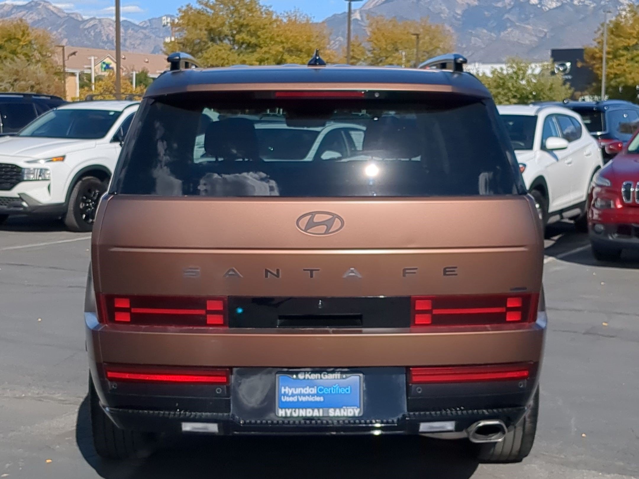 Certified Used 2024 Earthy Brass Matte Hyundai Calligraphy image 4
