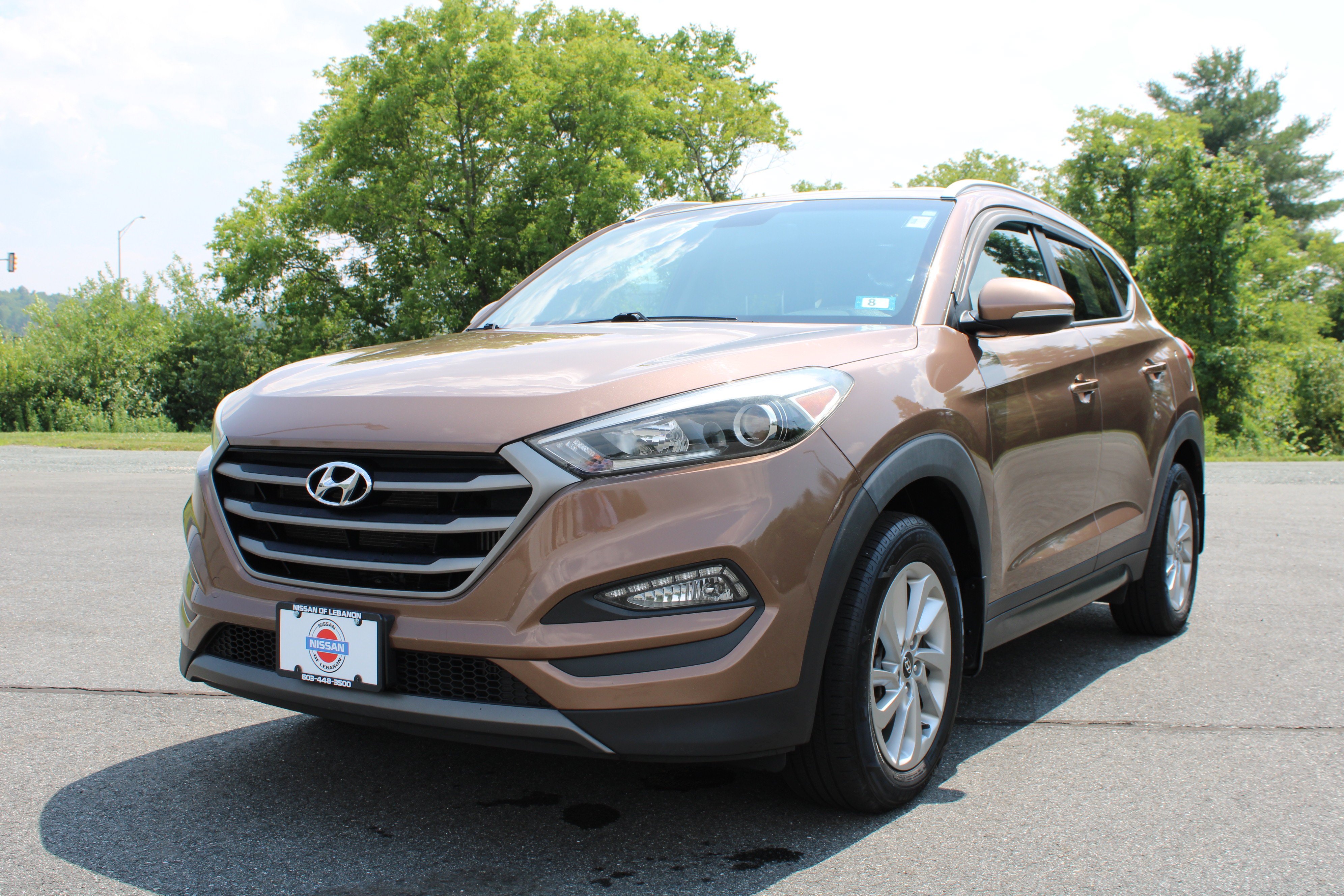 Used 2016 Mojave Sand Hyundai Eco image 3