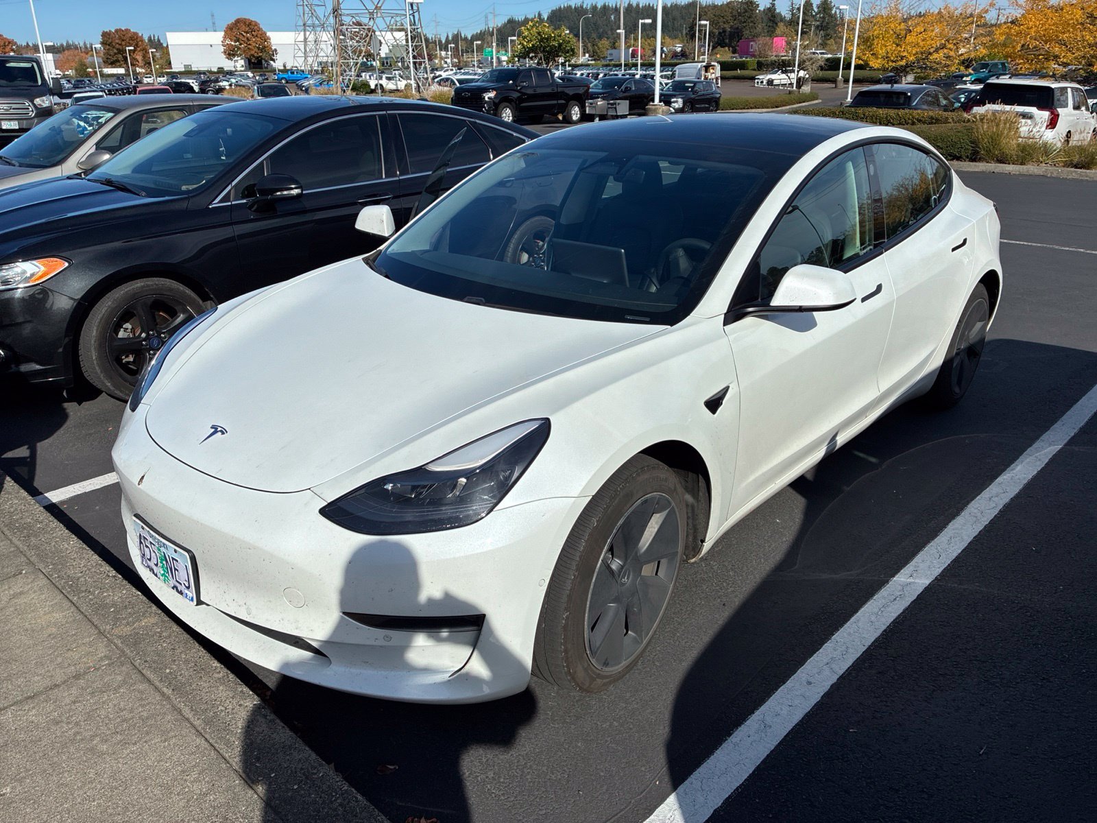 Used 2021  Tesla Long Range image 1