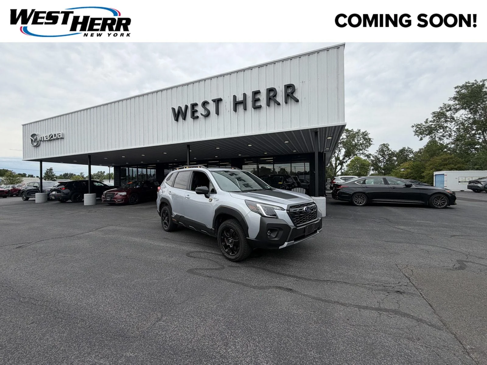Used 2024 Magnetite Gray Metallic Subaru Wilderness image 1
