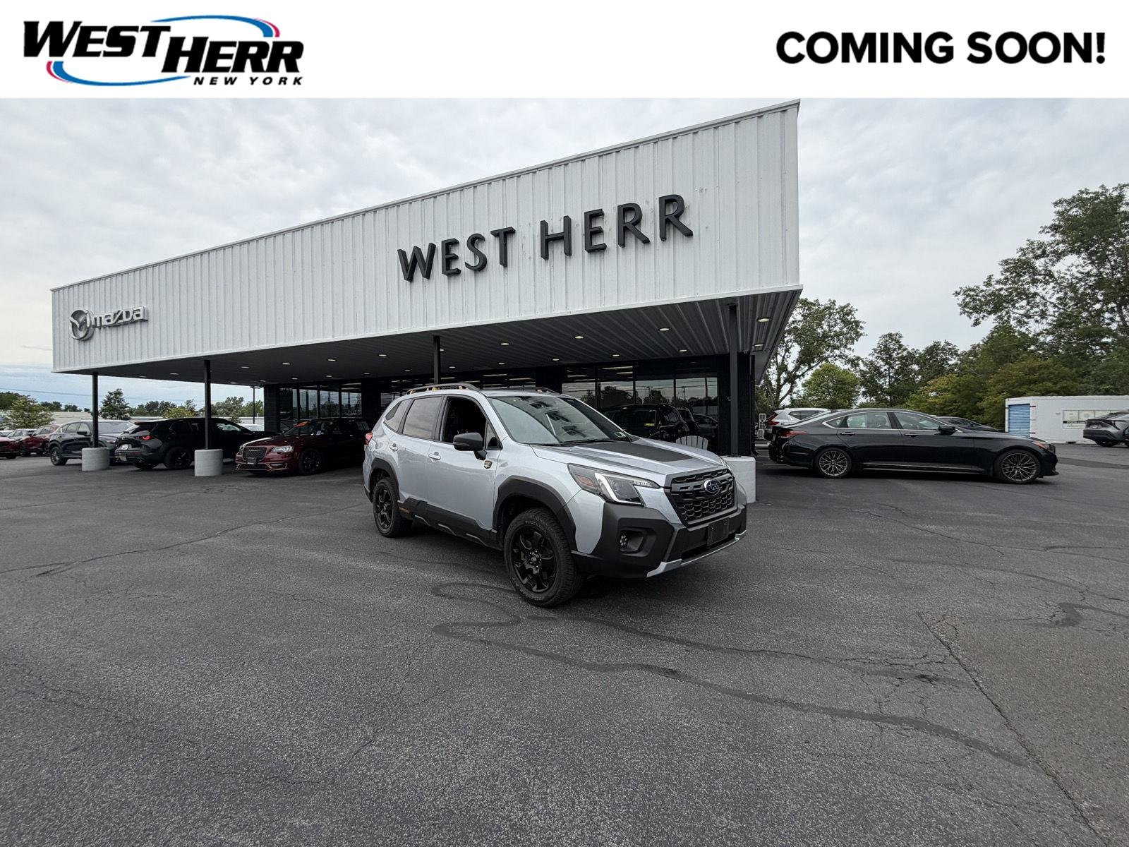 Used 2024 Magnetite Gray Metallic Subaru Wilderness image 1