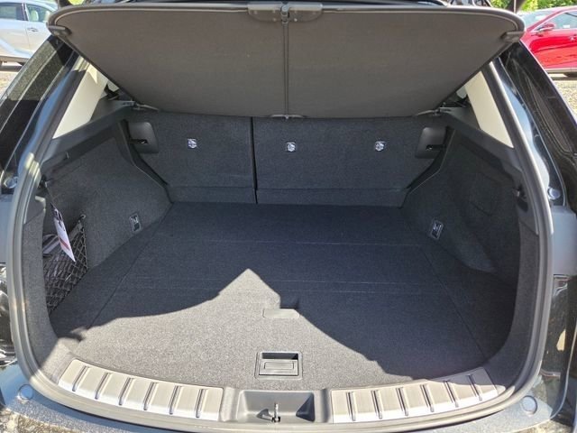 New 2026 Caviar Lexus LUXURY AWD image 31