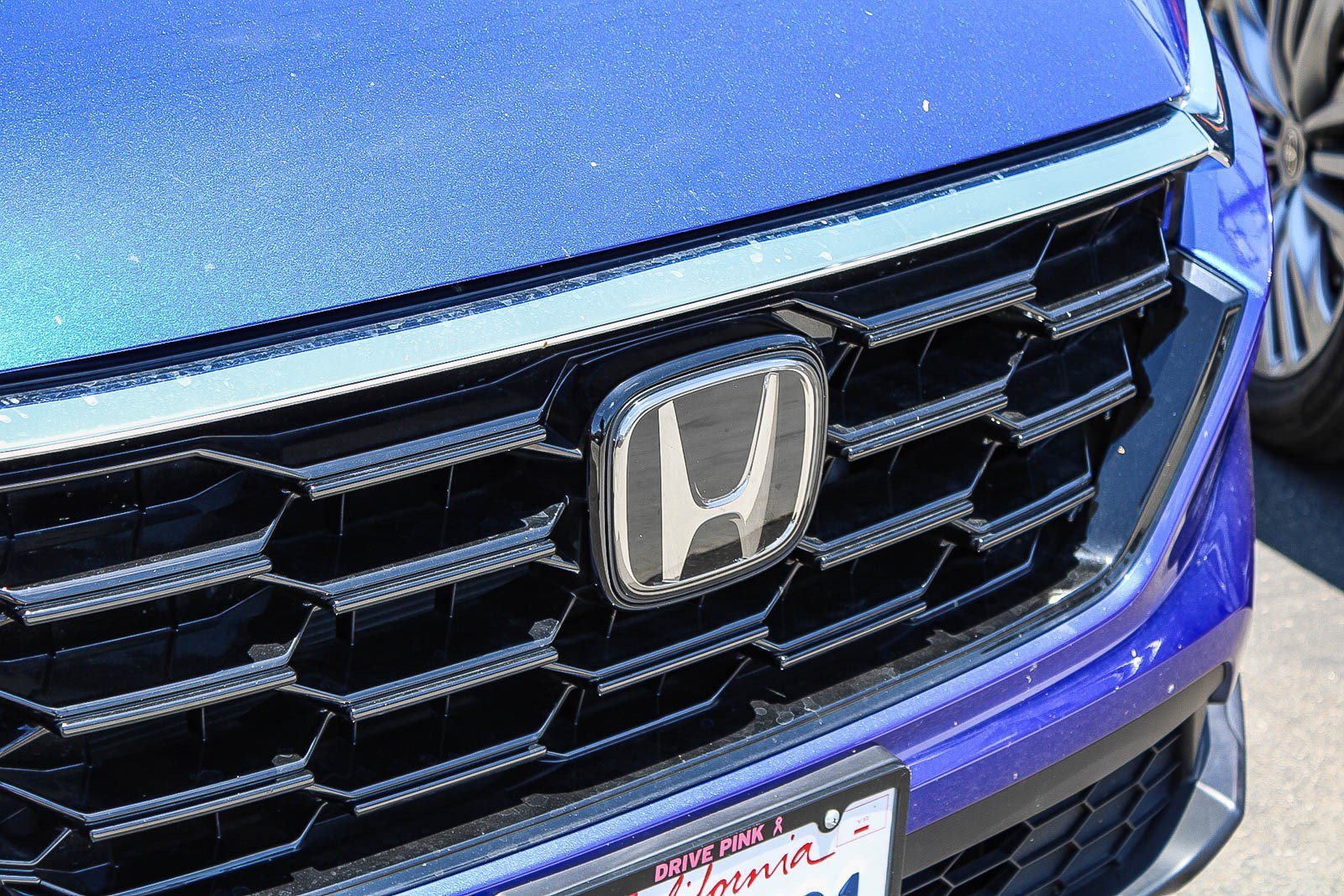 Used 2024 Canyon River Blue Metallic Honda EX image 5