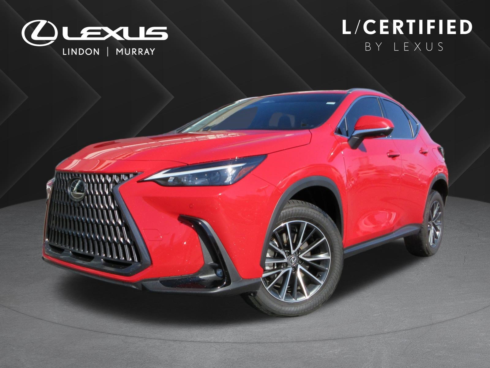 2024 Lexus NX