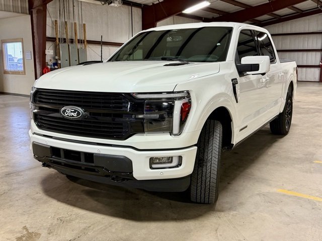 2024 Ford F-150 Platinum photo 3