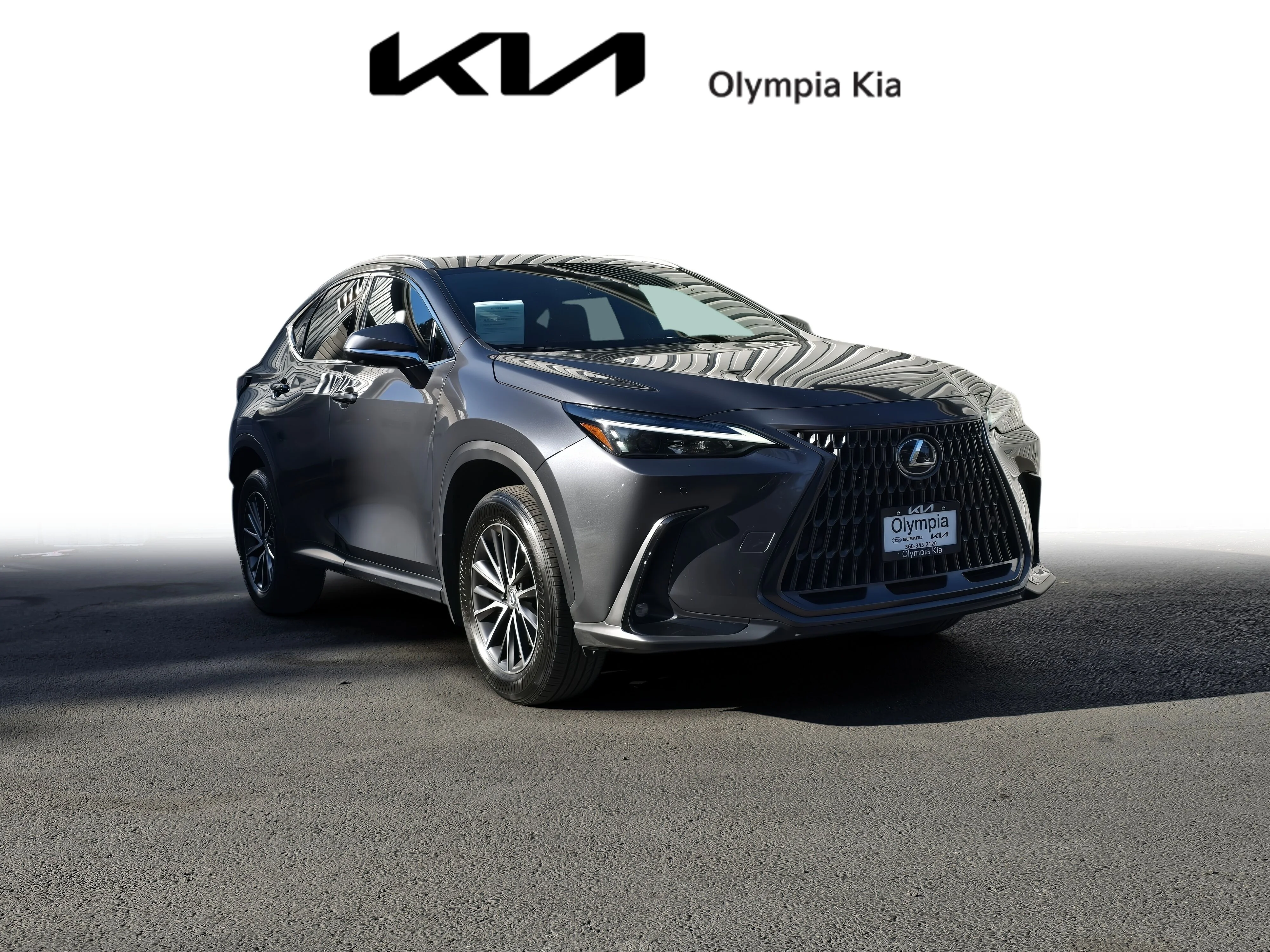 2024 Lexus NX 350 350 Premium AWD's photo