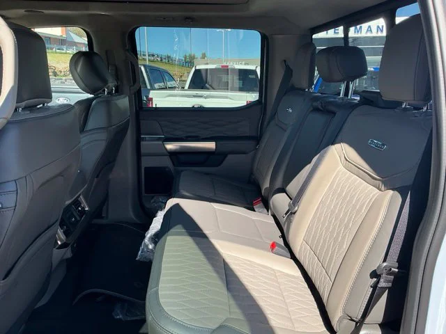 New 2027 Gray Ford Platinum image 25