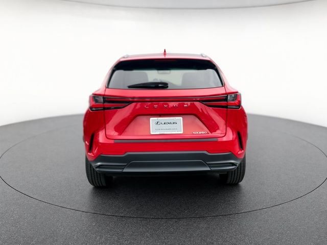 Certified Used 2024 REDLINE Lexus 250 Base image 4