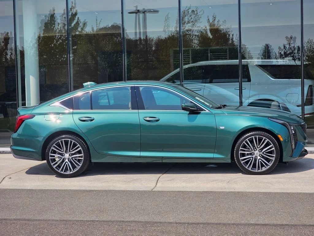 New 2026 Typhoon Metallic Cadillac Premium Luxury image 6