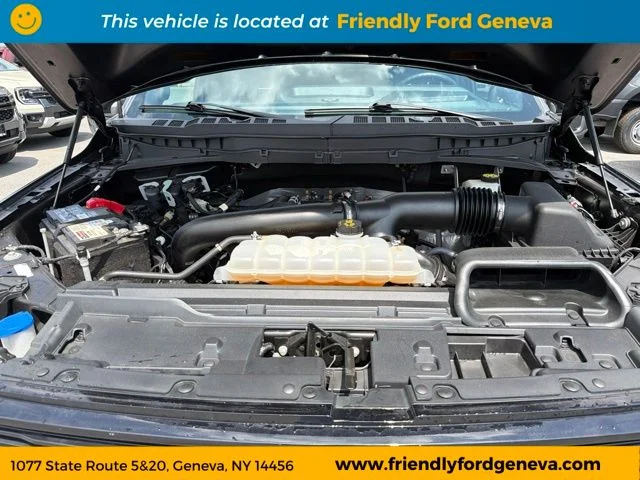 Used 2024 Gray Metallic Ford Platinum image 99
