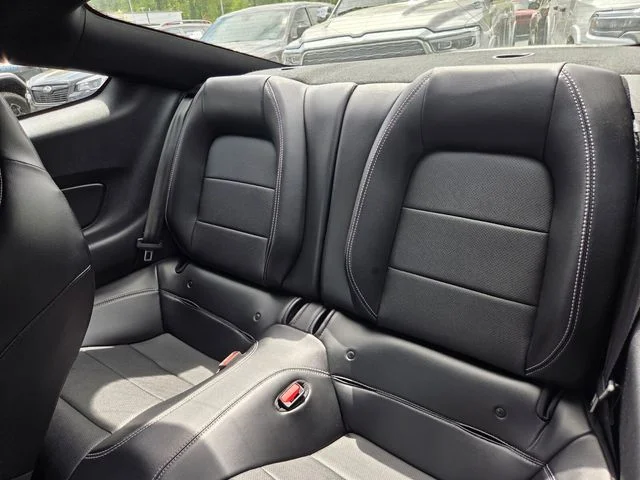 Used 2021 Black Ford Mach 1 image 12
