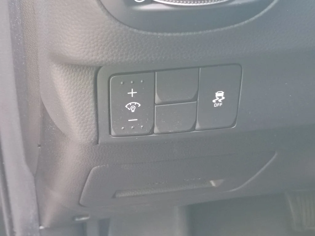 Used 2017 Shadow Black Kia Plus image 14