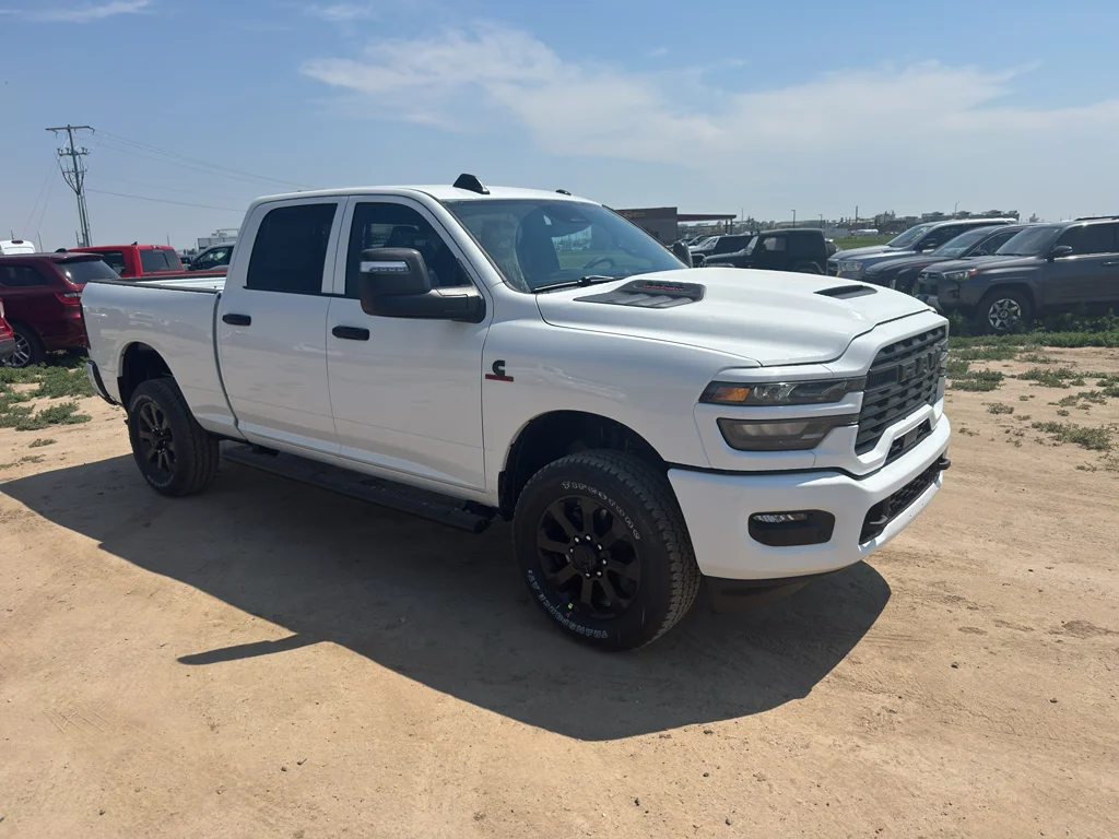 New 2026 Bright White Clear-Coat Exterior Paint RAM Black Express image 3