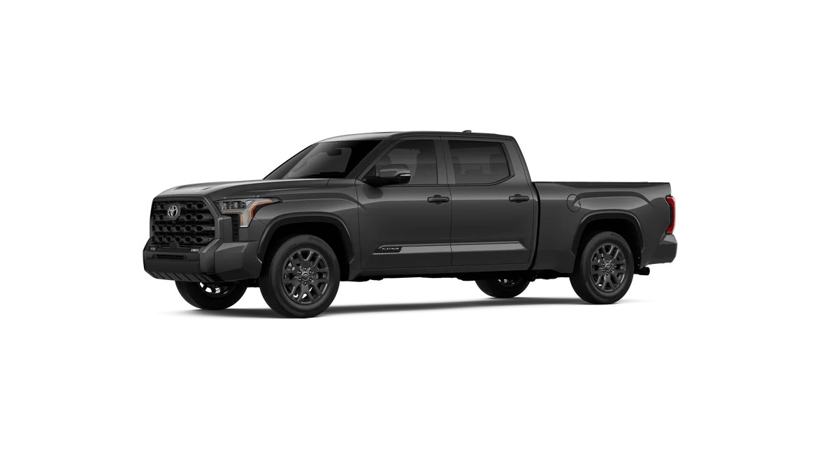 New 2026 Magnetic Gray Metallic Toyota Platinum image 24