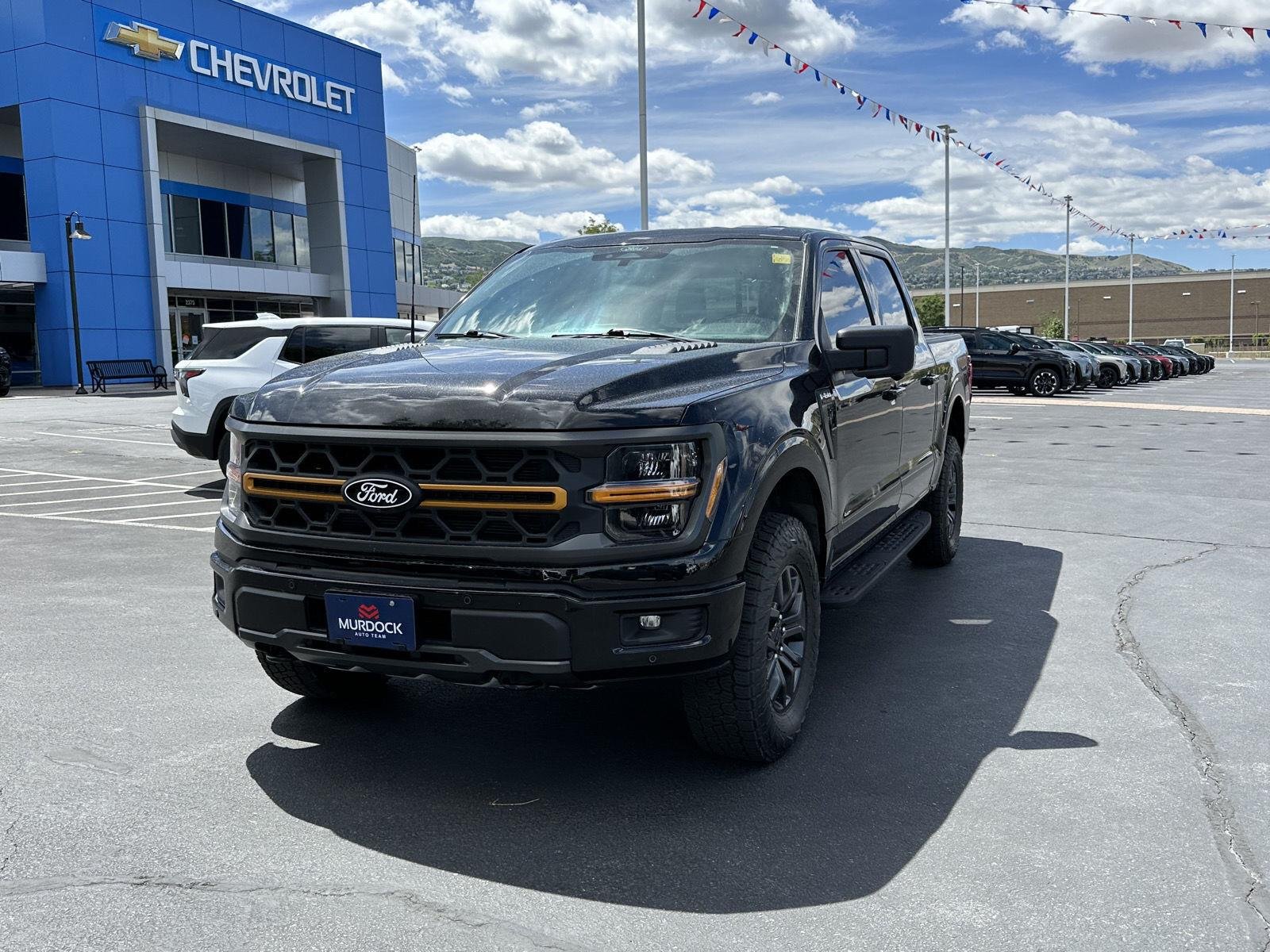 2025 Ford F-150 Tremor - Photo 11