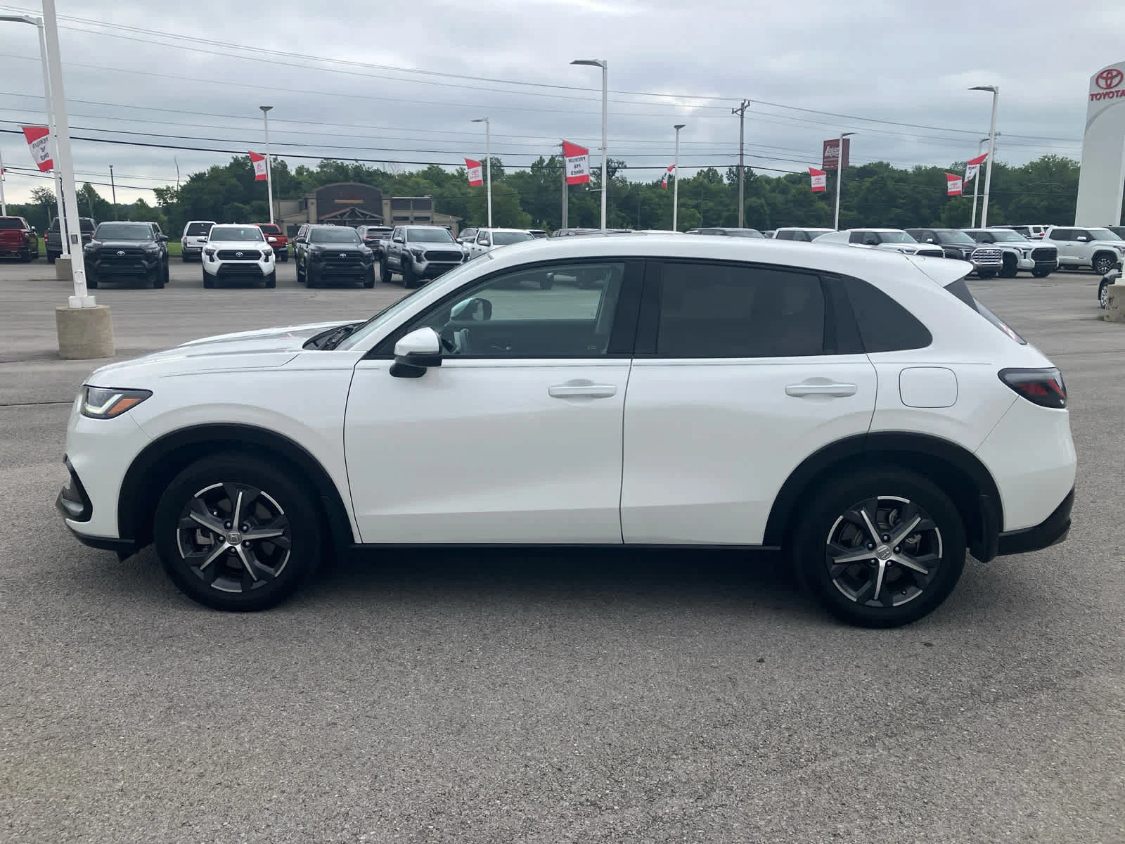 Used 2024 Platinum White Pearl Honda EX-L image 4