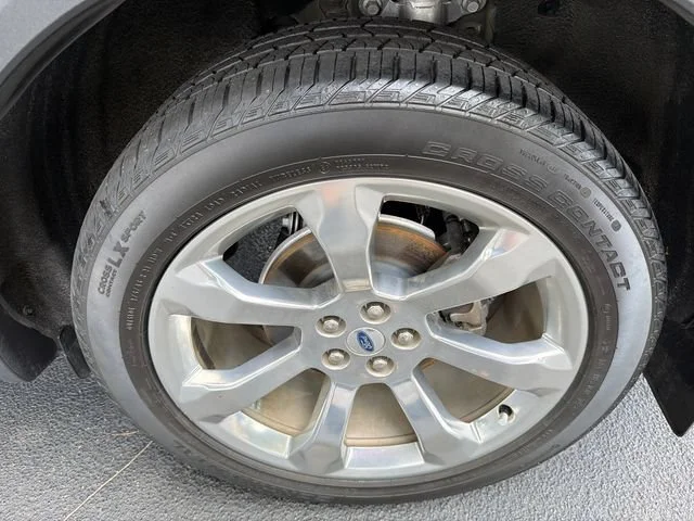 Used 2020 Black Ford Platinum image 20