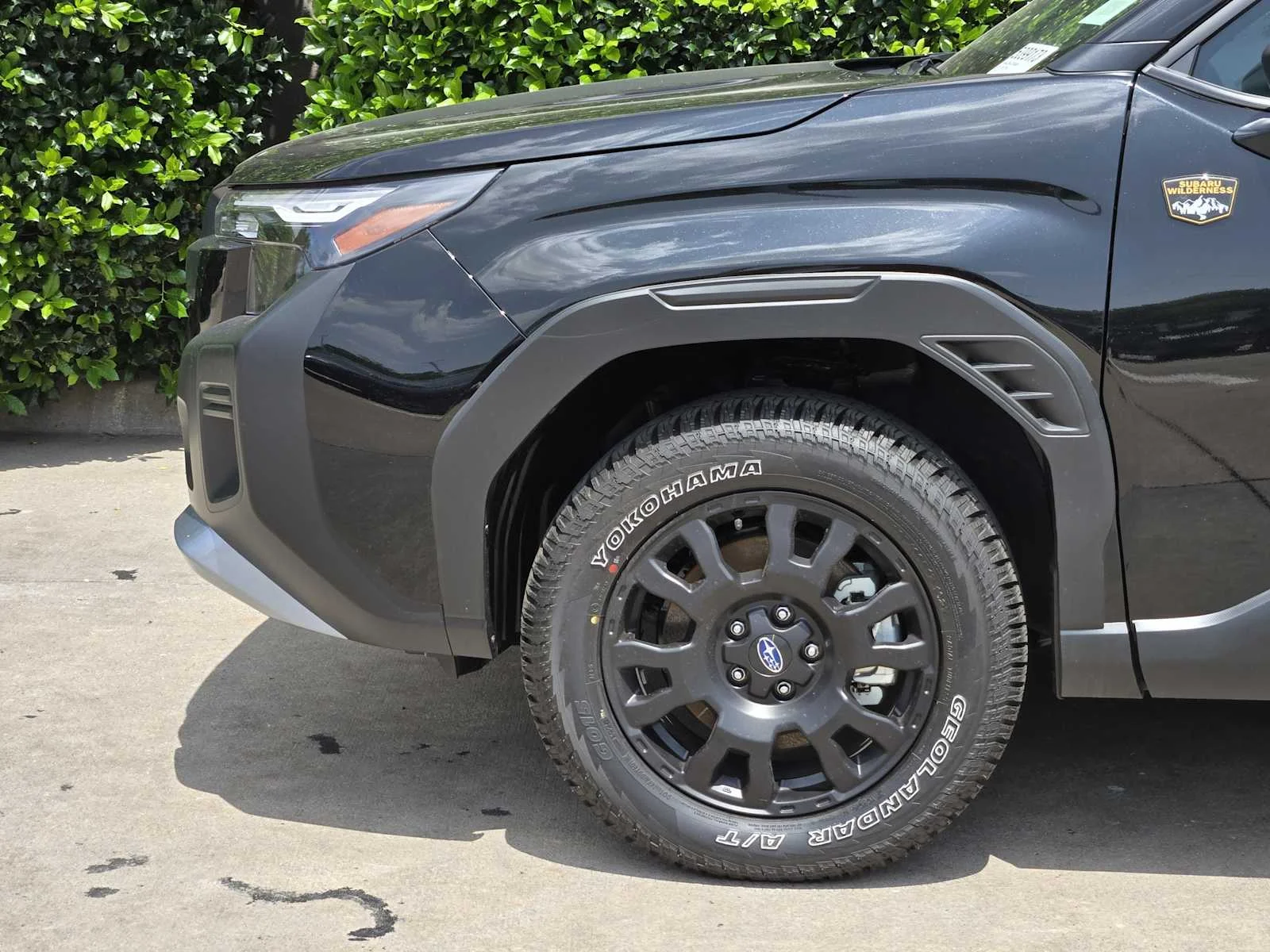 2026 Subaru Forester Wilderness - Photo 6