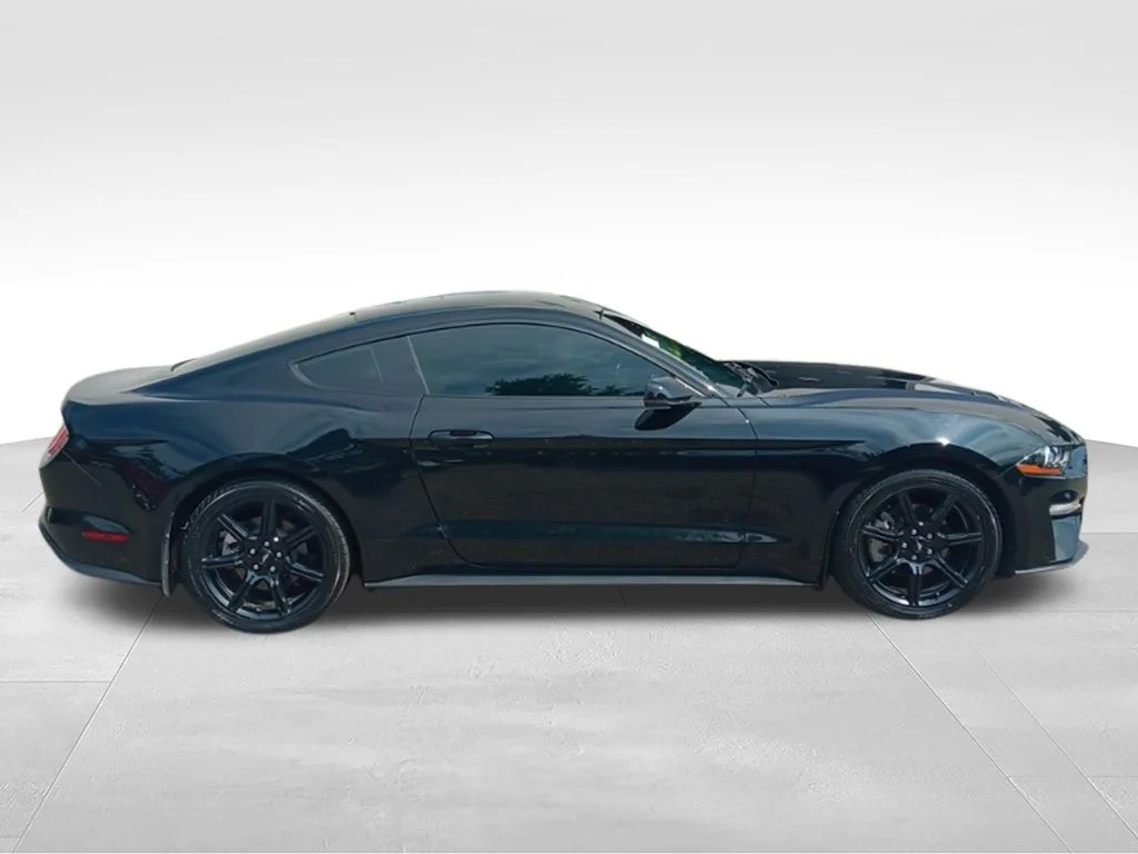 Used 2019 Shadow Black Ford EcoBoost Premium image 13