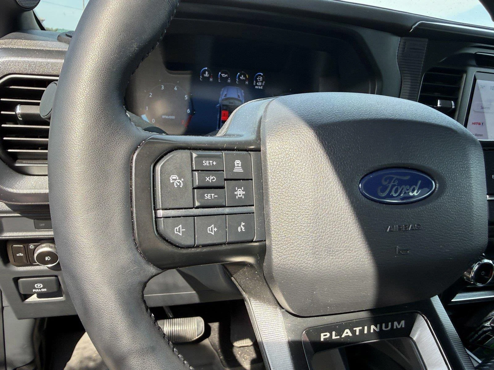 Used 2025 Star White Ford Platinum image 18