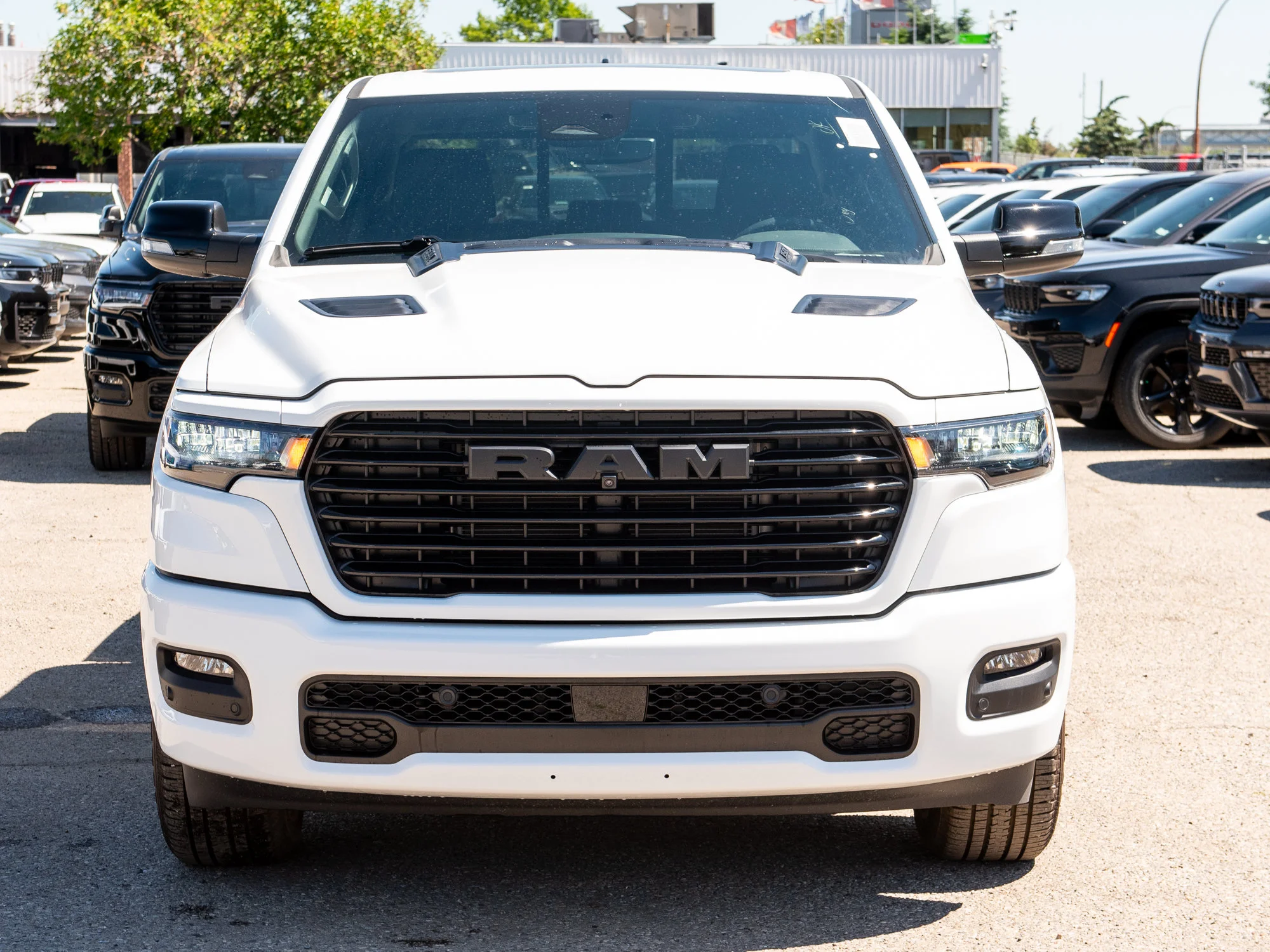 New 2026 White RAM Sport* image 8