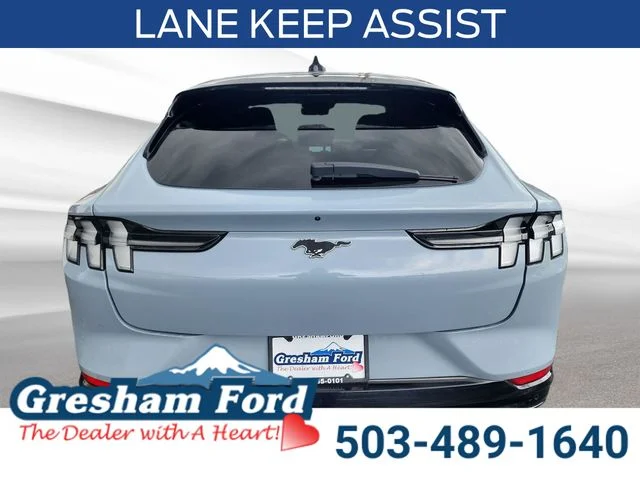 Used 2024 Gray Metallic Ford Premium image 5