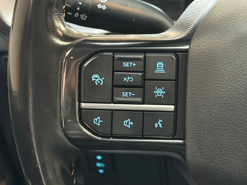 Used 2021 Gray Metallic Ford Platinum image 21