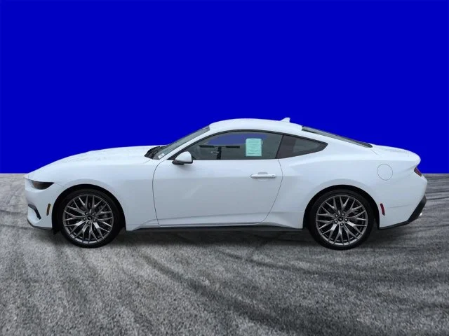 New 2026 Oxford White Ford EcoBoost® Premium Fastback image 7