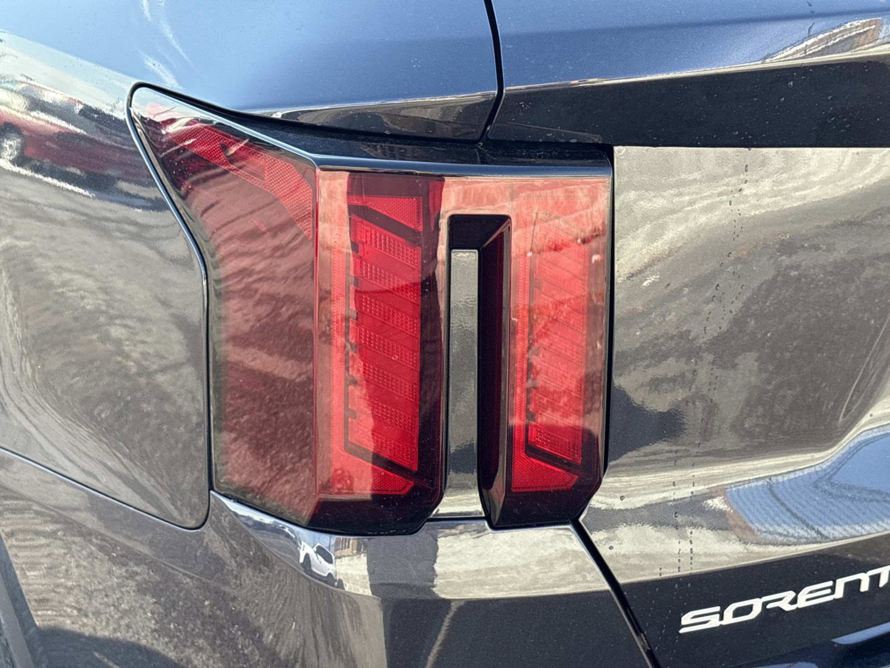New 2026 Panthera Metal Kia S image 11