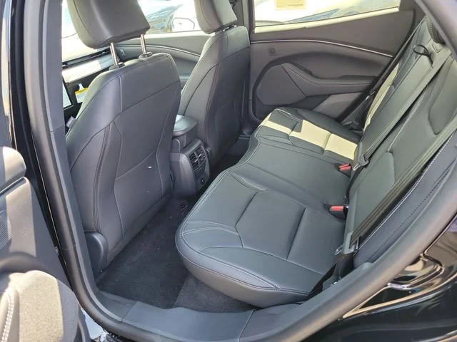 New 2026 Shadow Black Ford Premium image 9