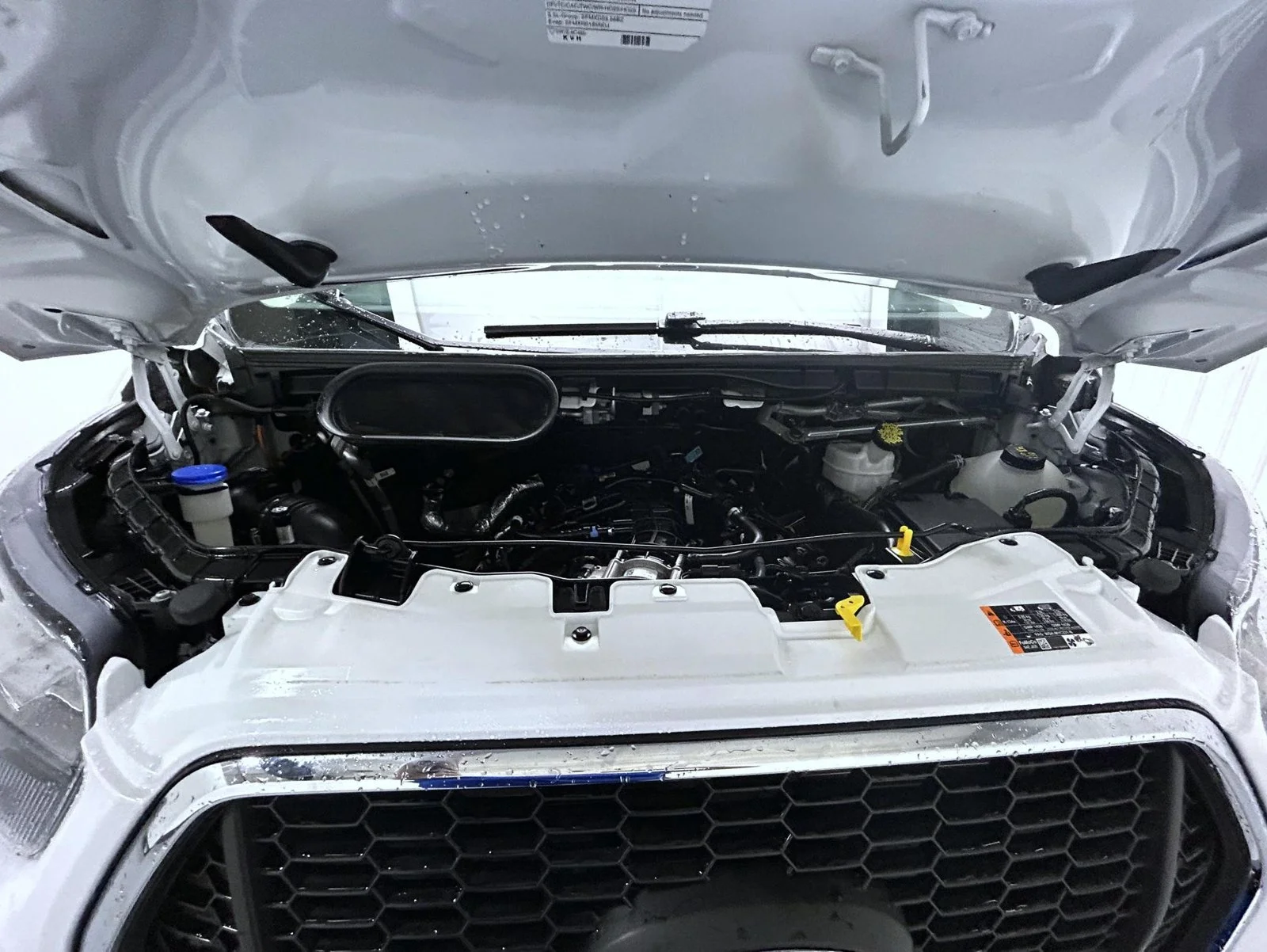 Used 2025 White Ford XLT image 23
