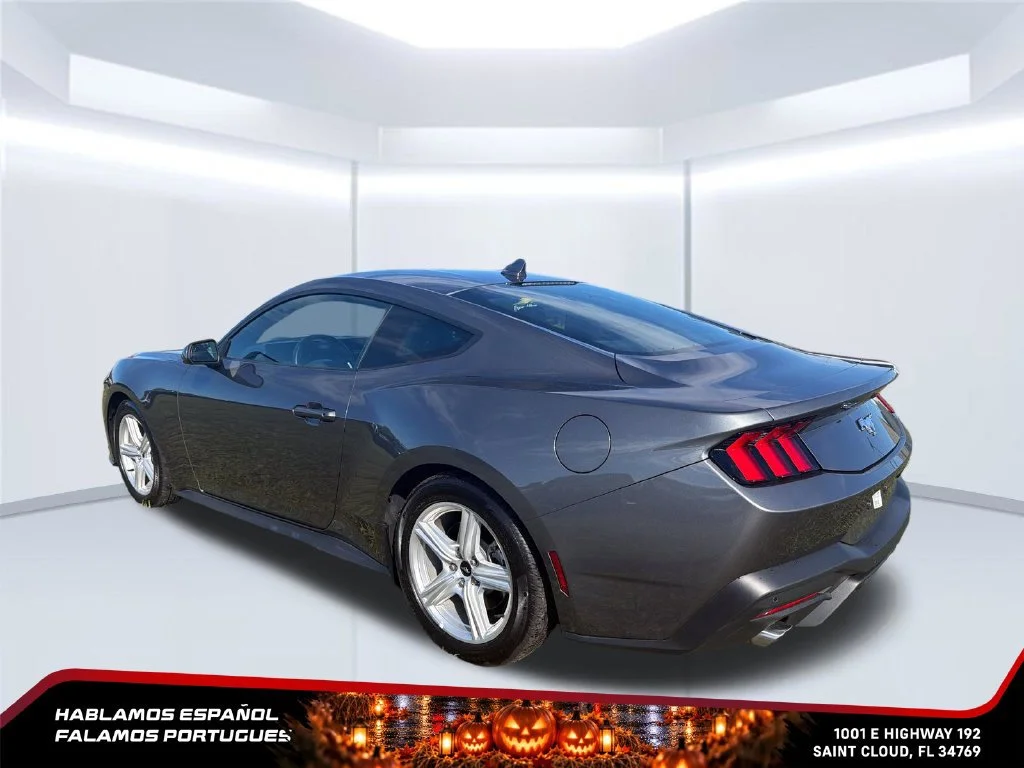 Used 2026 Gray Ford EcoBoost Premium Fastback image 3