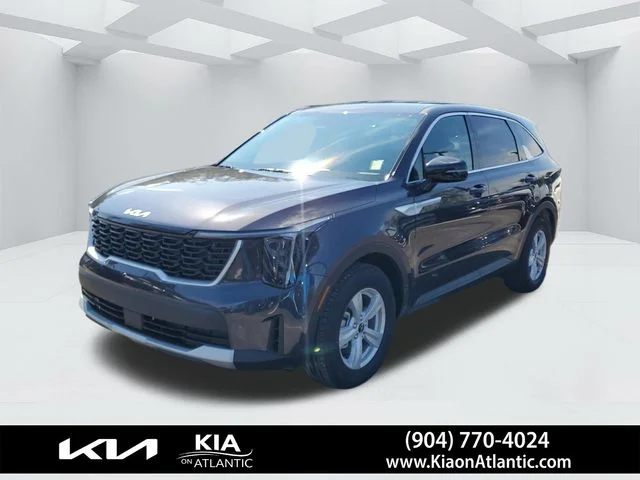 New 2026 Panthera Metal Kia LX image 4