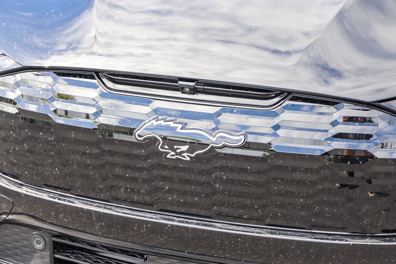 New 2026 Shadow Black Ford Premium image 12