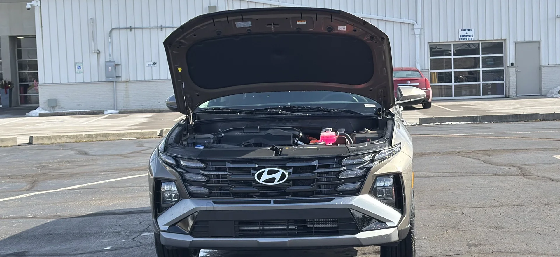 New 2026 Cashmere Bronze Hyundai Blue SE image 15