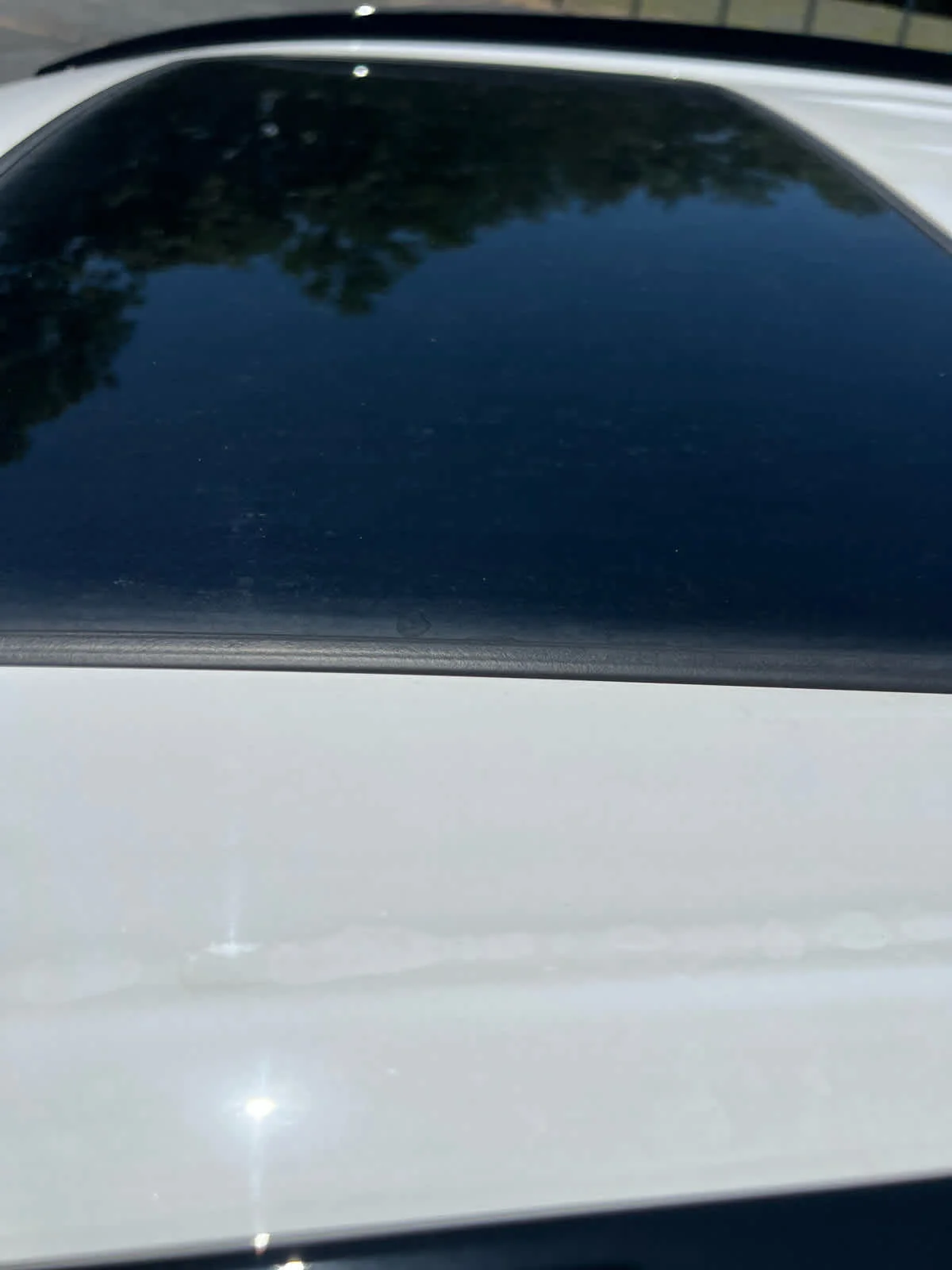 Used 2023 Ice Cap Toyota XLE image 14