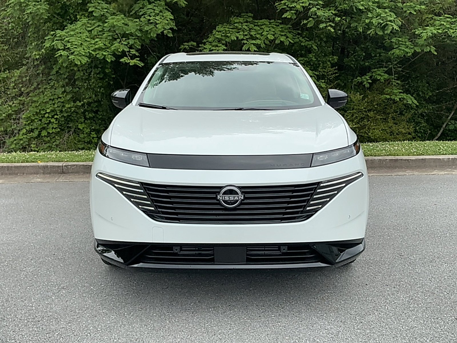 New 2026 Everest White Pearl Tricoat Nissan Platinum image 17