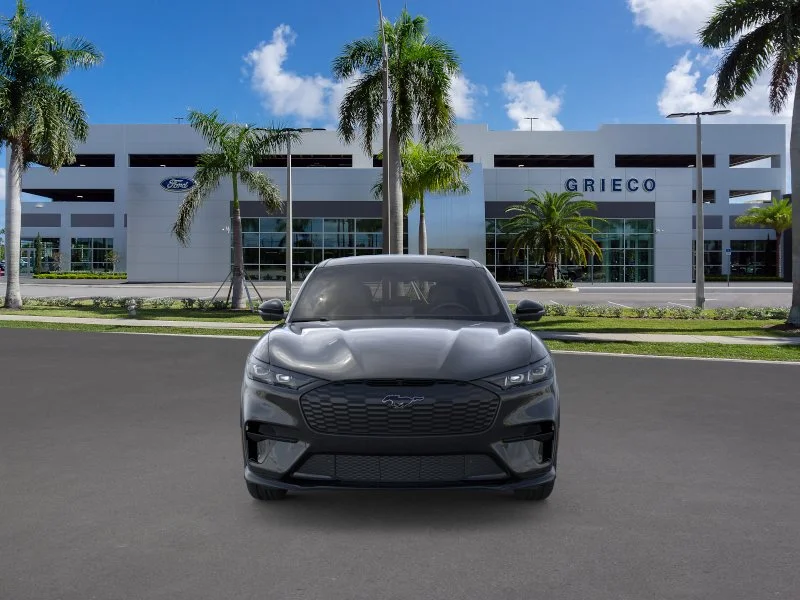 New 2026 Shadow Black Ford Premium image 29