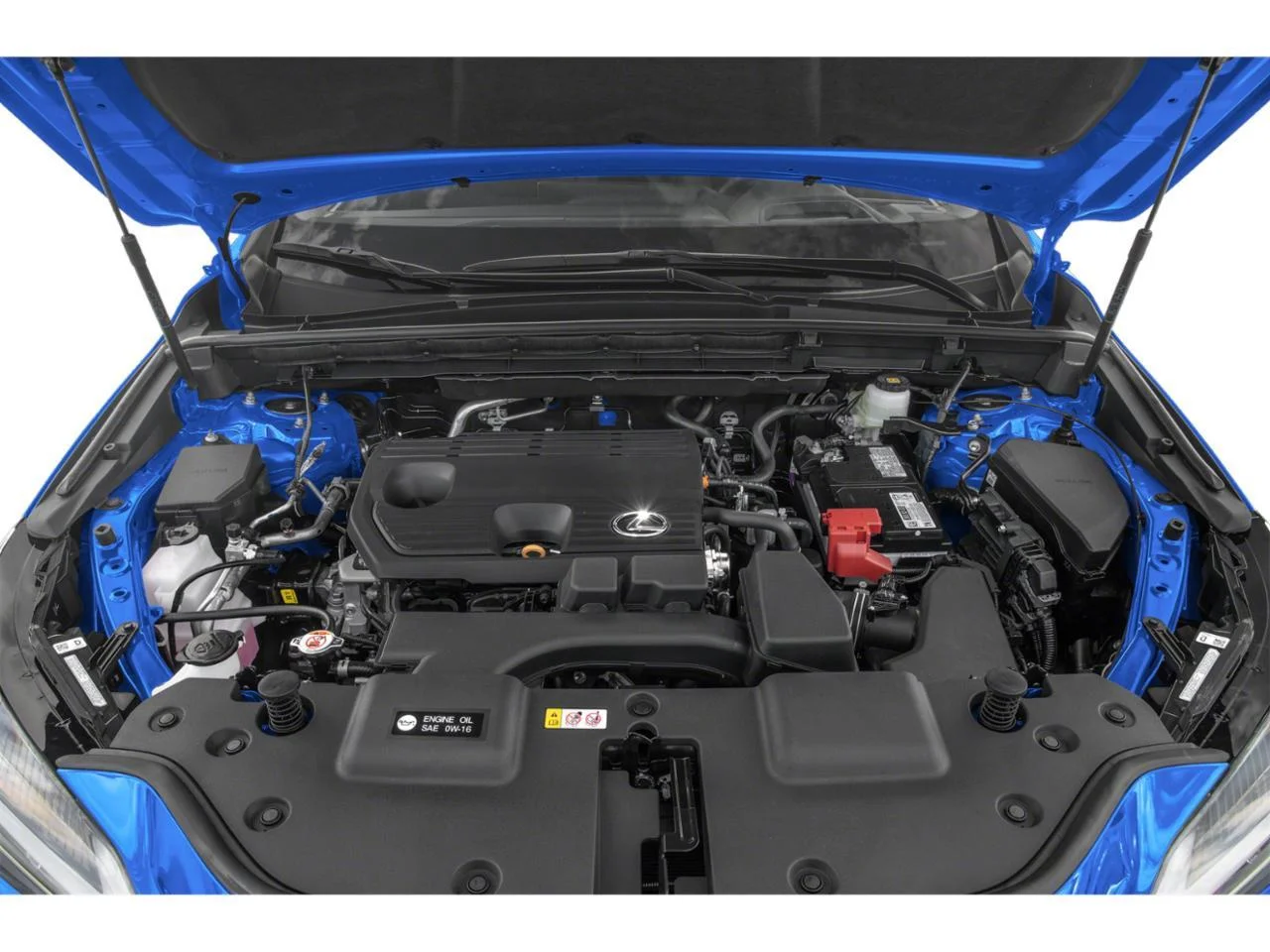 Used 2024 Redline Lexus NX 250 Premium image 7