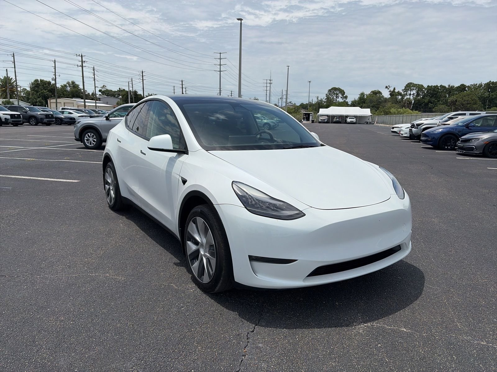 2023 Tesla Model Y Long Range Dual Motor All-Wheel Drive's photo