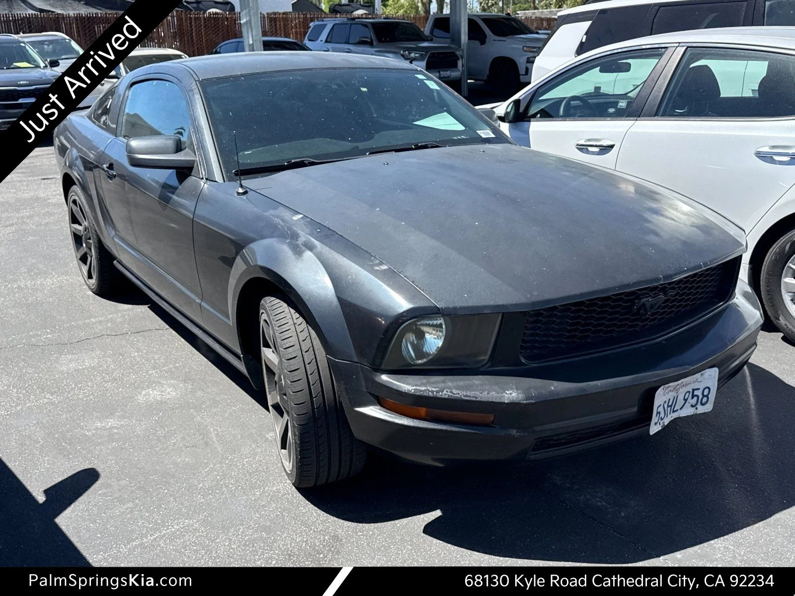 2006 Ford Mustang's photo