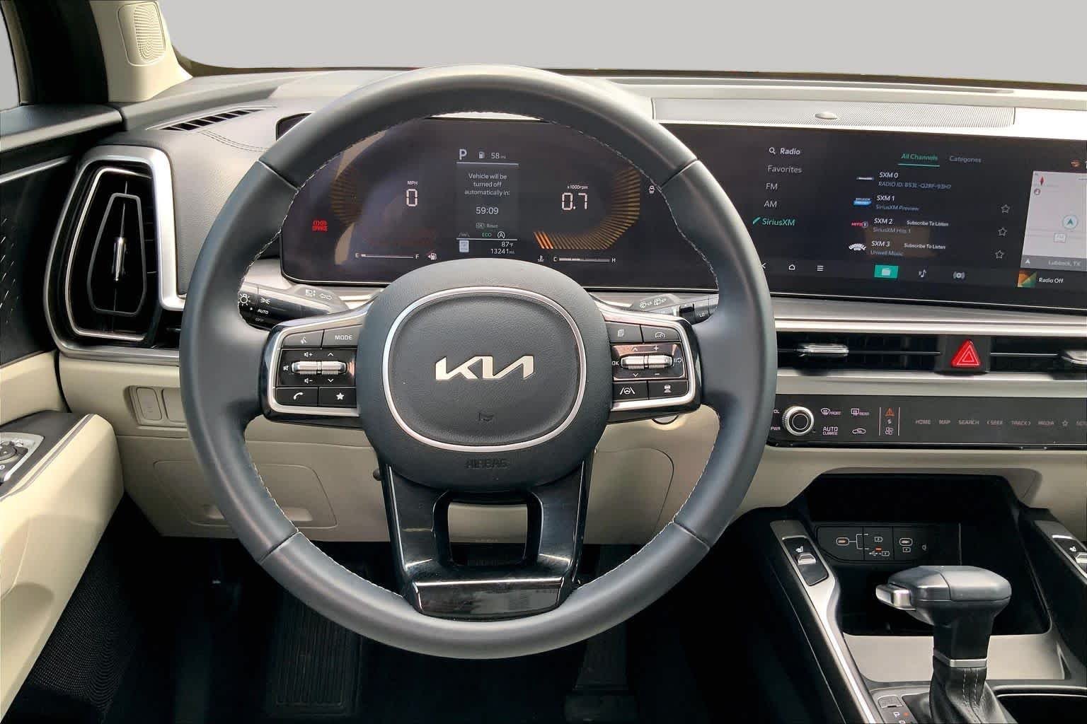 Used 2025 Panthera Metal Kia S image 6